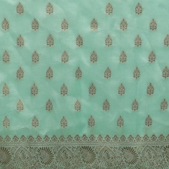 Sky Blue Saree In Dola Silk With Woven Leaf Buttis And Moroccan Weave On Pallu - Picture 5 of 6